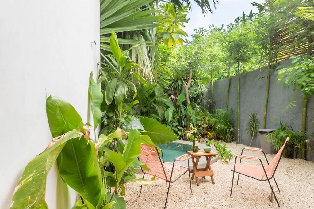 Casa Chaka Boutique Hotel Petkanche Mexico