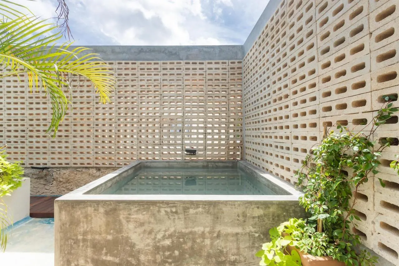Casa Chaka Boutique Hotel Petkanche Mexico