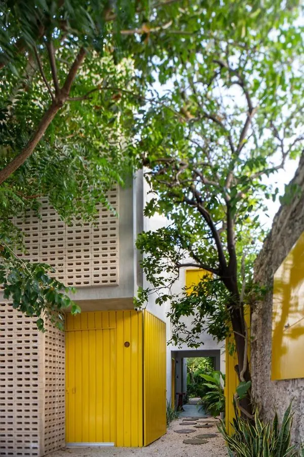 Casa Chaka Boutique Hotel Petkanche Mexico